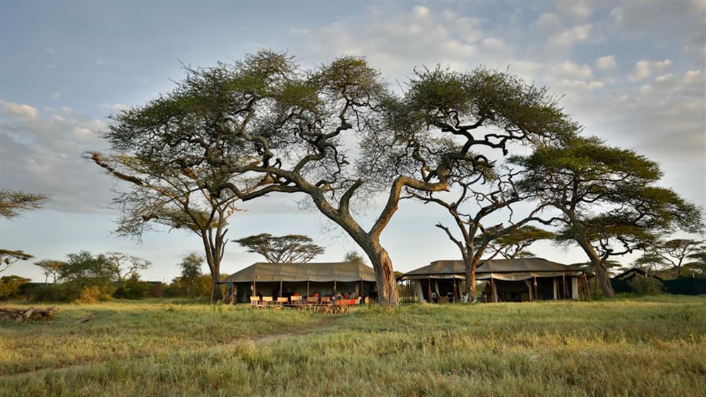 Lemala Mara Camp